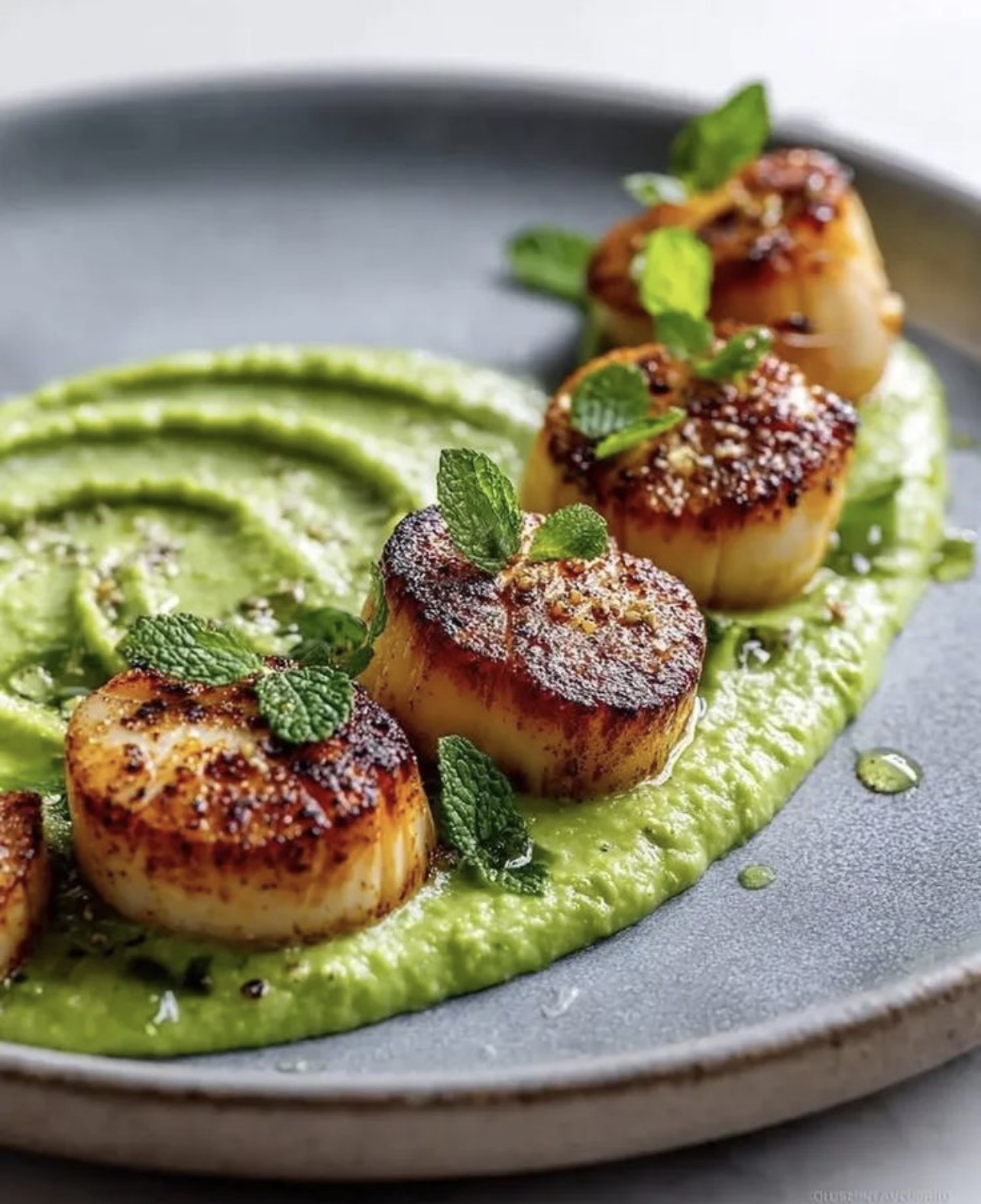 Seared scallops plated for an in-residence dinner